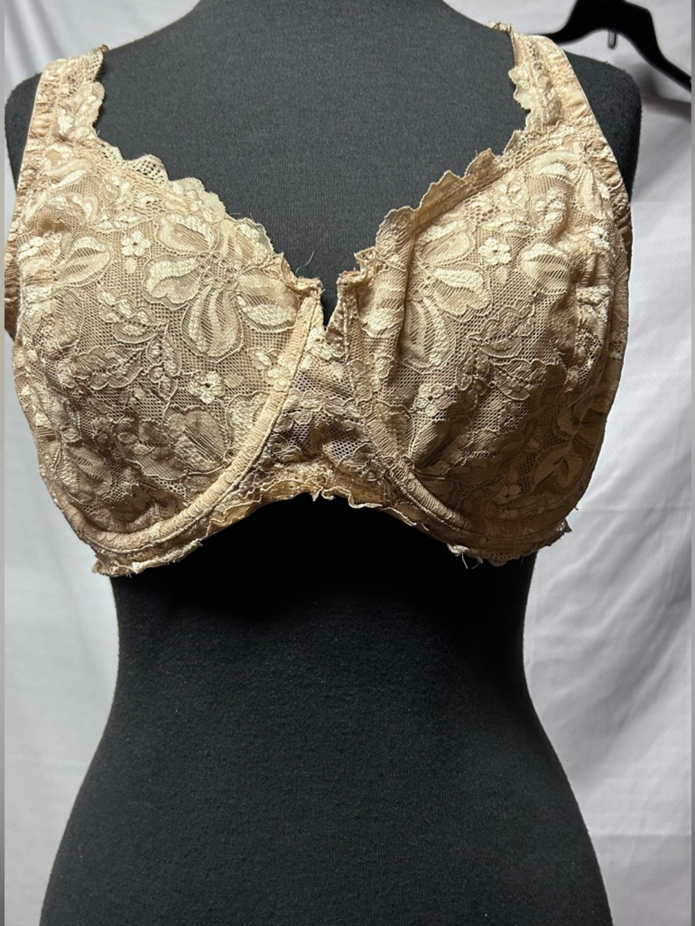 Olga Nude Lace-Trim Support Bra